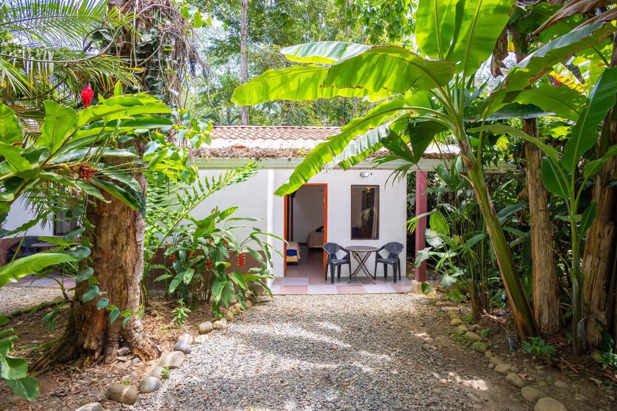 Bambutel Cocles Hotel Puerto Viejo de Talamanca Exterior foto